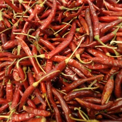 Chile de arbol con pata